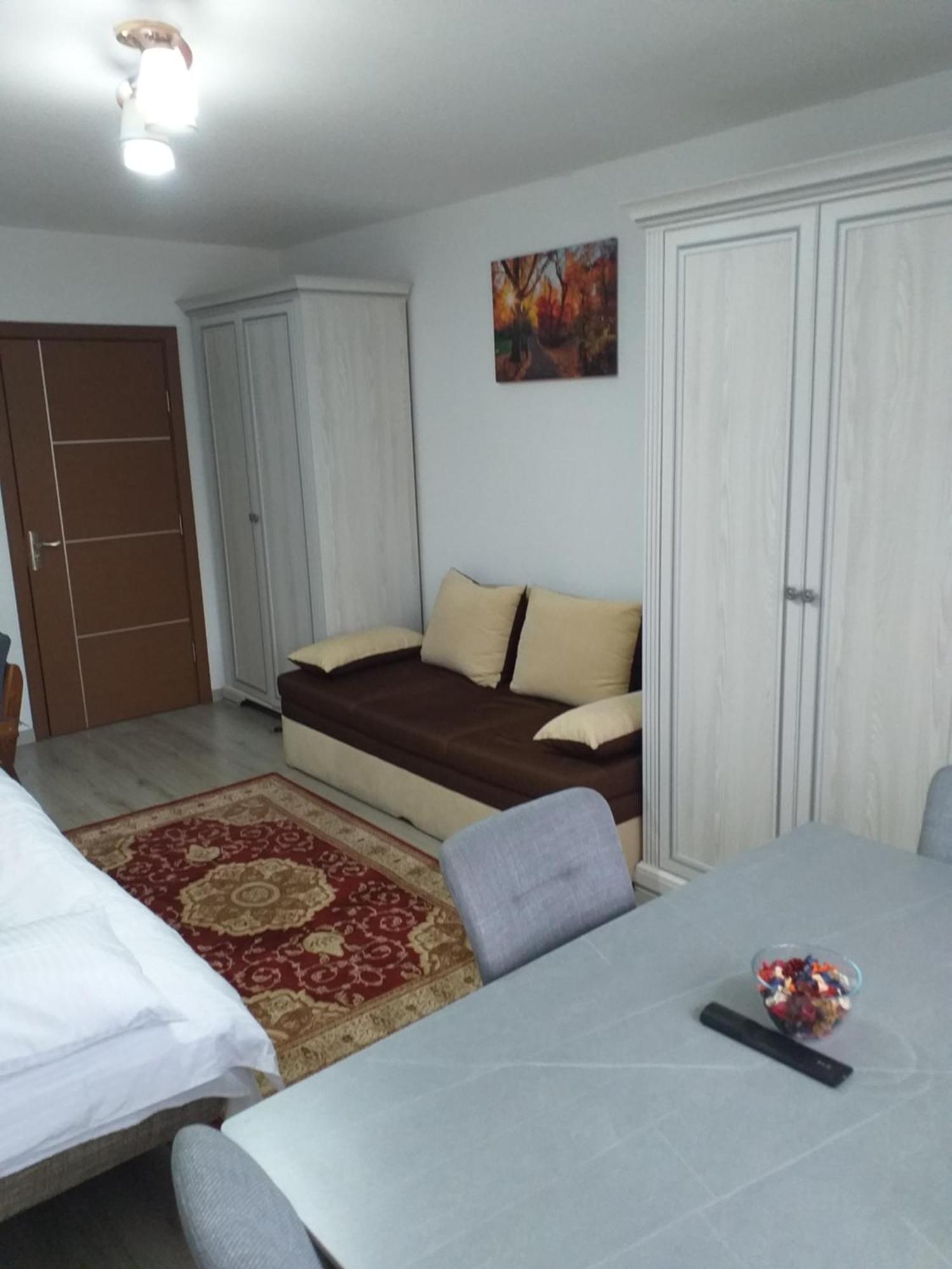 Fully Furnished Studio Sighetu Marmatiei Exterior photo
